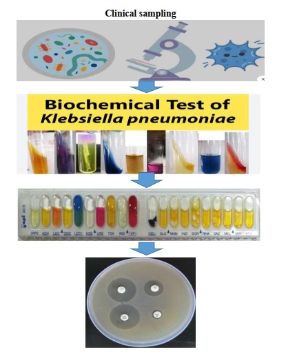 Antibiotic Resistance Patterns of Klebsiella pneumoniae 