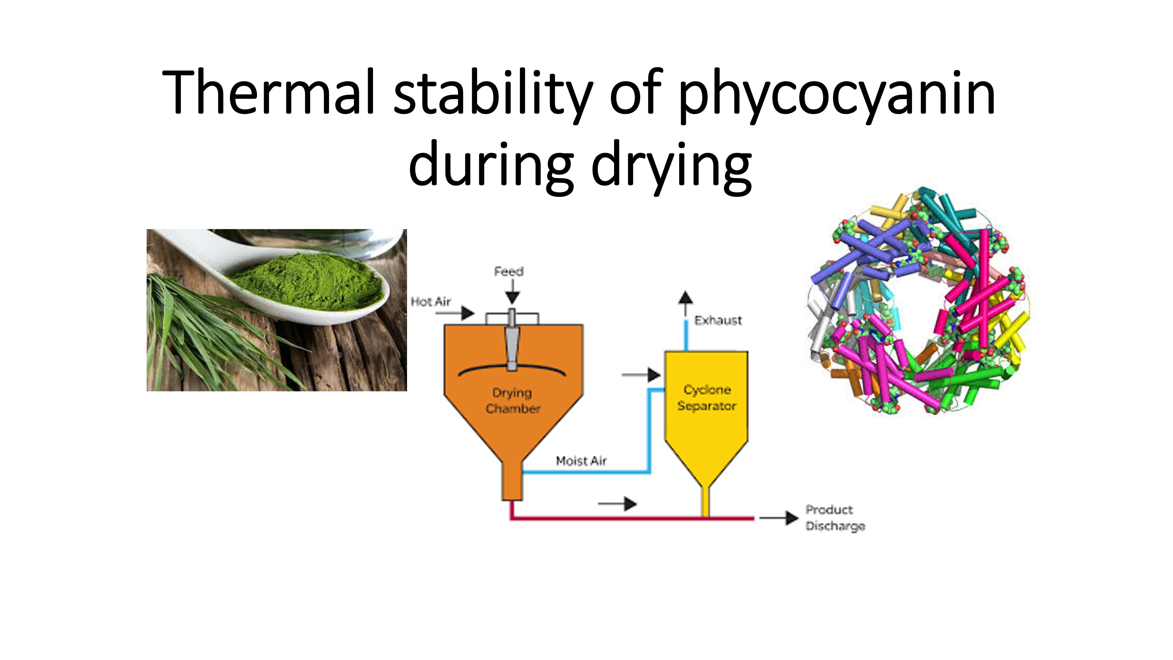 Stability of Microalgal Pigment