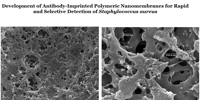 Rapid Detection of S. aureus by Antibody-Imprinted Polymeric Nanomembranes