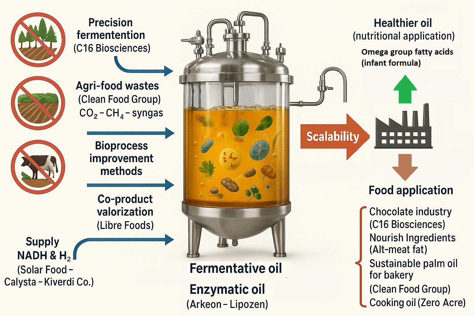 Single cell oil and fat production