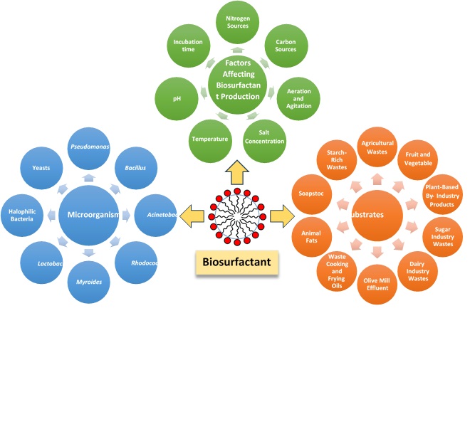 Microbial Biosurfactant