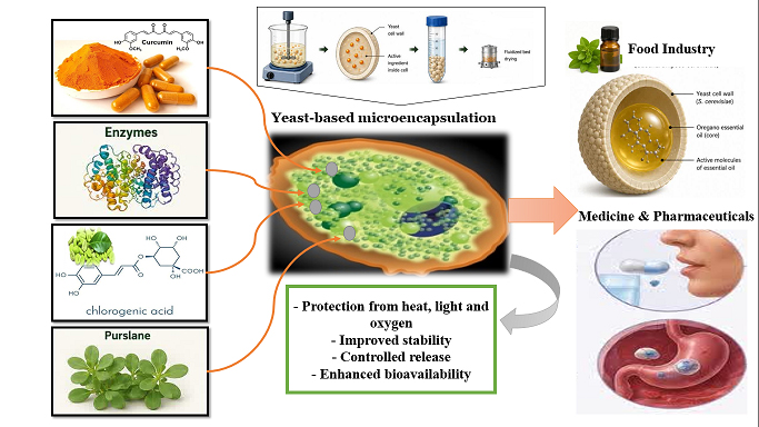 Applications of yeast based microencapsulation