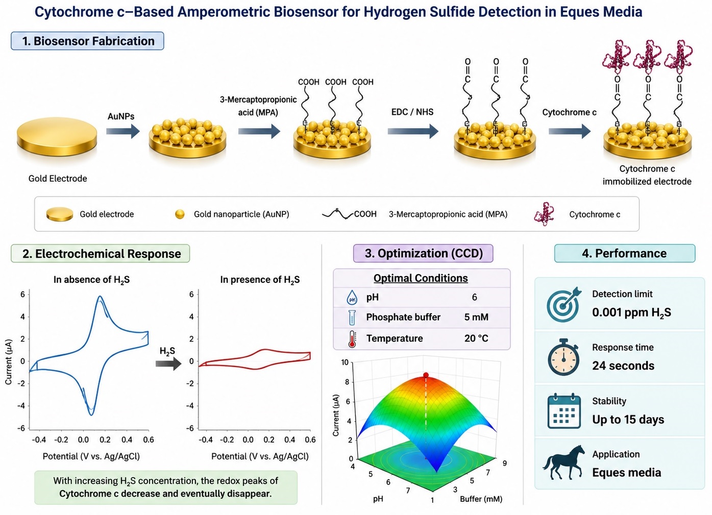 Cytochrome C biosensor for dissolved H2S Detection