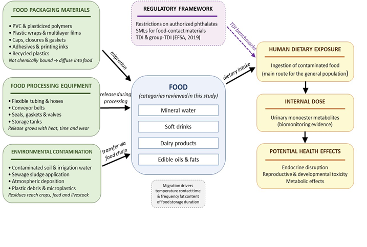 Phthalates in Food: A Review