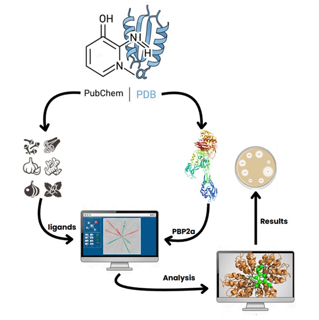 Molecular Docking for Inhibiting Protein in Resistant S.aureus
